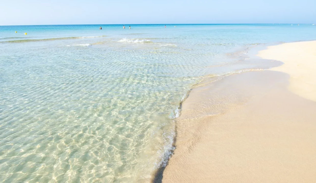 Veduta panormaica della spiaggia di marina di pescoluse