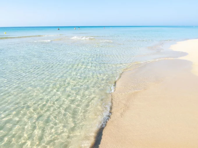 Veduta panormaica della spiaggia di marina di pescoluse